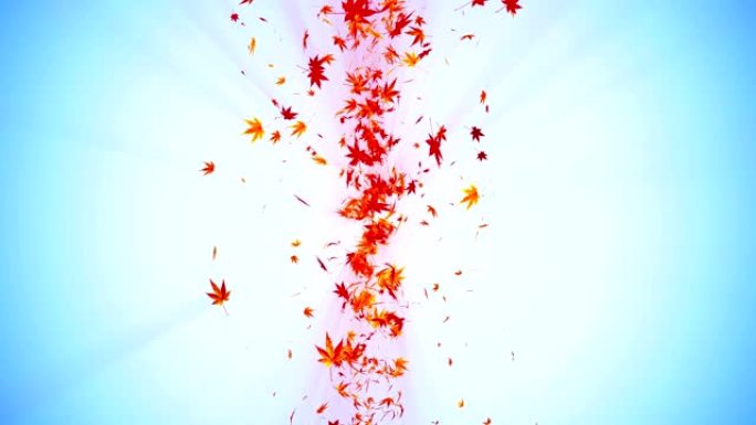 彩色枫树和树叶的漩涡。秋叶的螺旋闪亮颗粒。跳舞的叶子。多彩自然隧道循环动画。