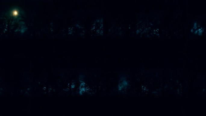恐怖黑暗森林滚动背景