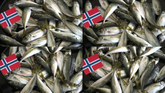 挪威的渔业