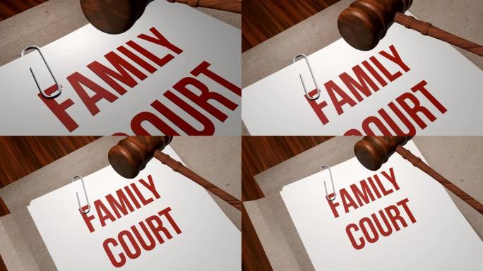 家事法庭法律概念
