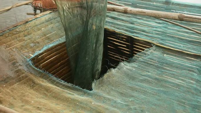 渔民将用中国渔网和手网捕获的鱼扔进竹箱的特写镜头