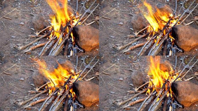 在山上的森林露营中用于烹饪的火焰燃烧木材