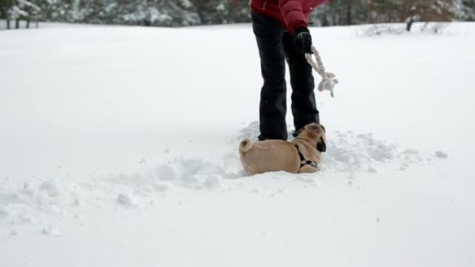 在深雪中玩玩具和哈巴狗的女人