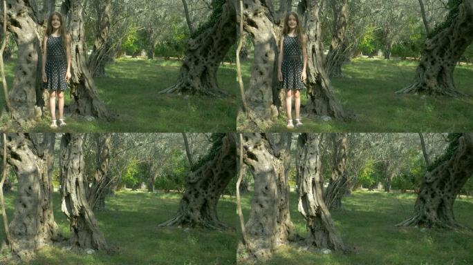 橄榄树林里的女孩。她看起来，消失，出现，隐藏