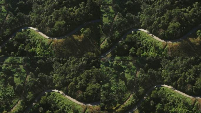 穿越森林的公路旅行-空中视点4k视频