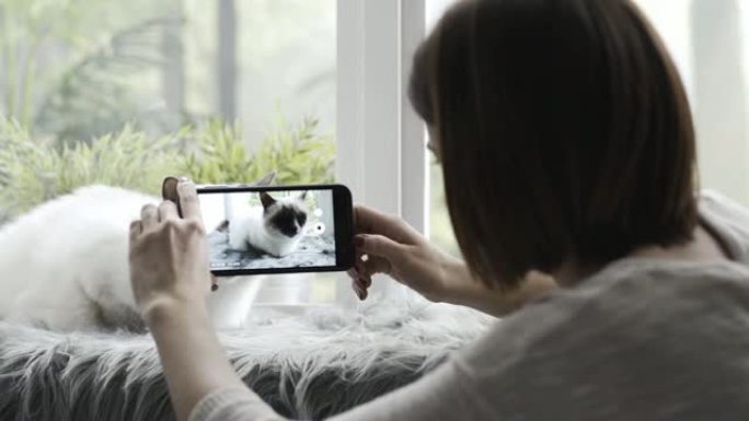 女人拍摄了她可爱的猫的视频