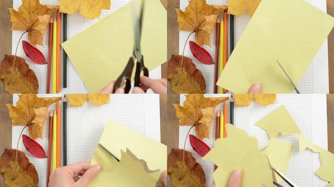 剪掉纸板箱纸的枫叶