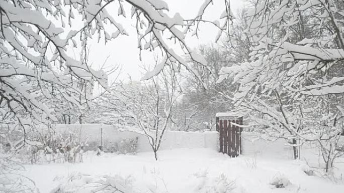 小门和树木背景下的乡村降雪