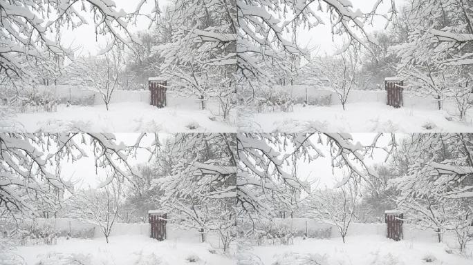 小门和树木背景下的乡村降雪