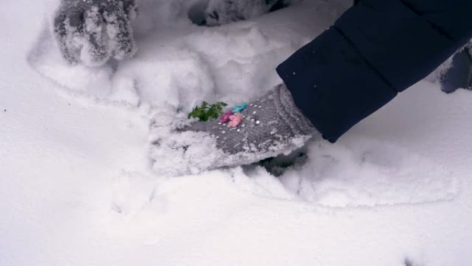青少年从雪中挖出绿色苔藓