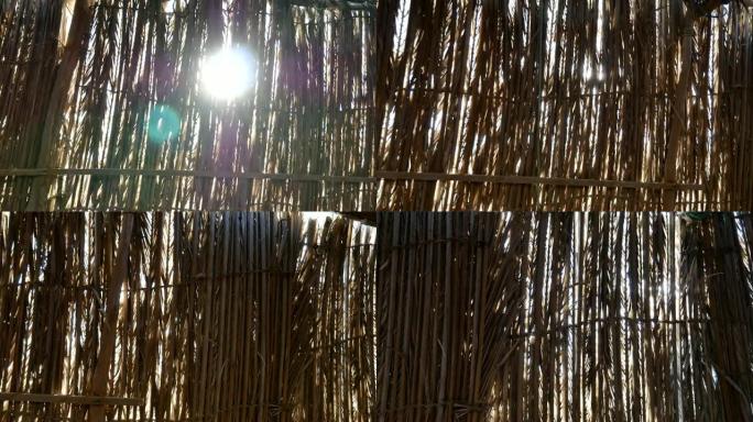 竹栅栏的滑动镜头，阳光照耀着阳光
