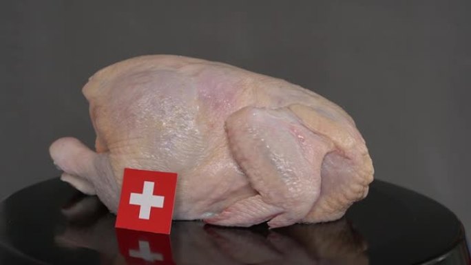 带瑞士国旗的生鸡