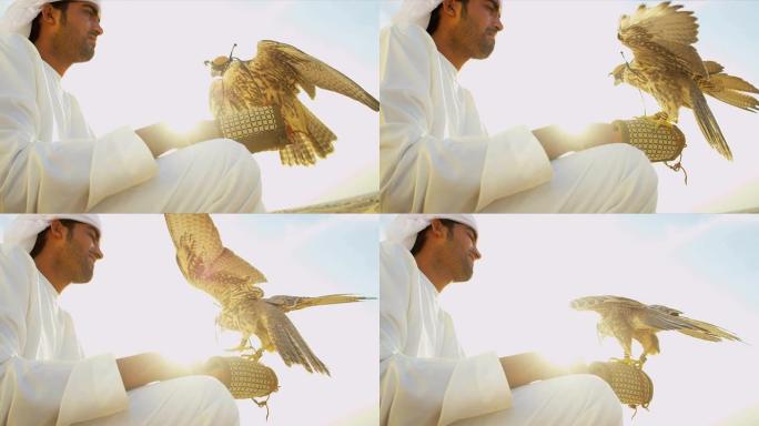 连帽猎鹰平衡阿拉伯男主人手套