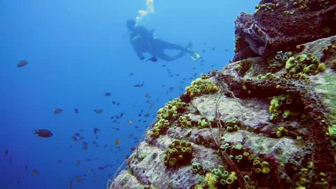 环境问题水下水肺潜水员和捕鱼 “鬼网” 污染海洋