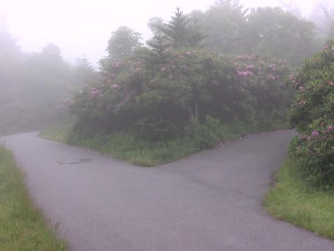 两条有雾的道路伙伴