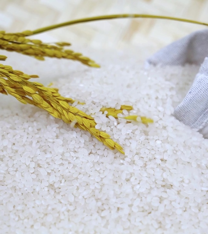 大米五常大米稻花香大米