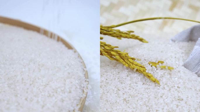 大米五常大米稻花香大米