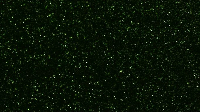 绿色颗粒背景。粒子不同运动的闪光系列。版本1