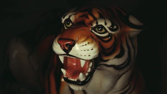 老虎暗背景高清镜头