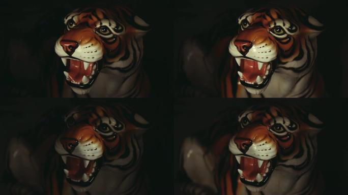 老虎暗背景高清镜头