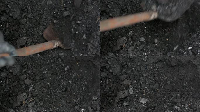 用煤取暖乡间别墅，一个人在桶中装煤。