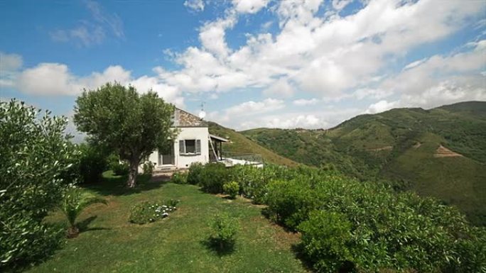 橄榄树绿山中的房子