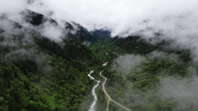 大山中的路