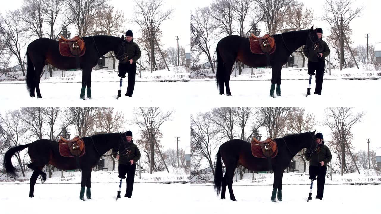 下雪的冬天，残疾人骑师站在户外的黑马附近。他有假肢，而不是右腿。他学会了骑马，海马疗法。动物残疾人的