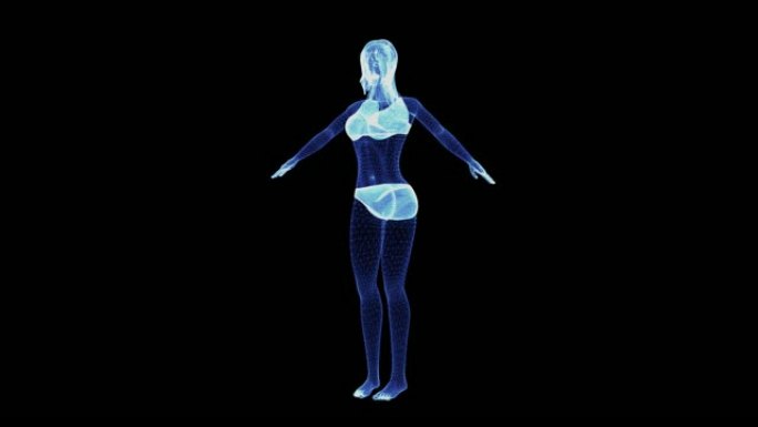内衣中旋转女性身体的全息图