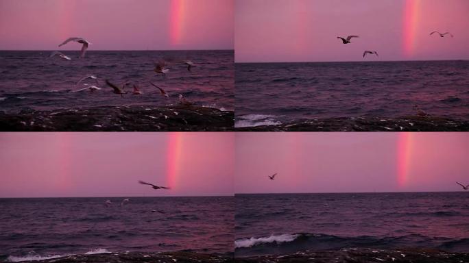 挪威下午11点惊人的双彩虹和飞鸟 (特写)