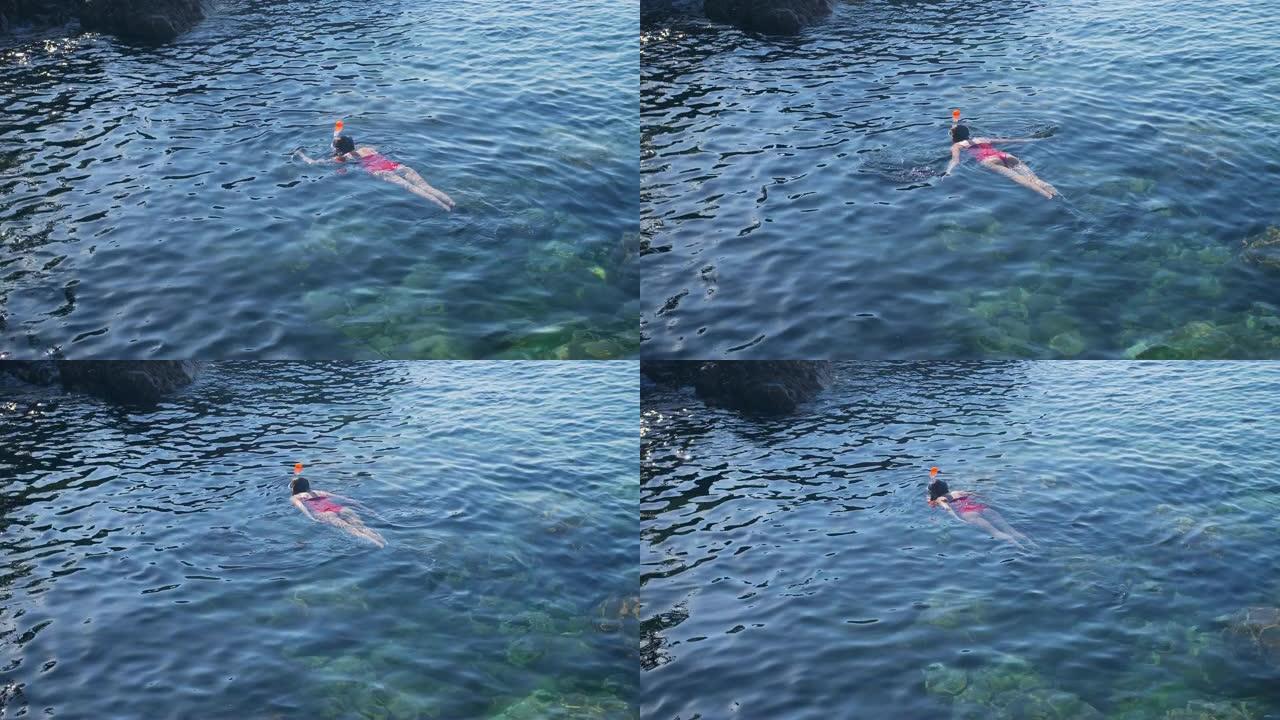 年轻女子穿着红色泳衣在蓝色热带水中浮潜