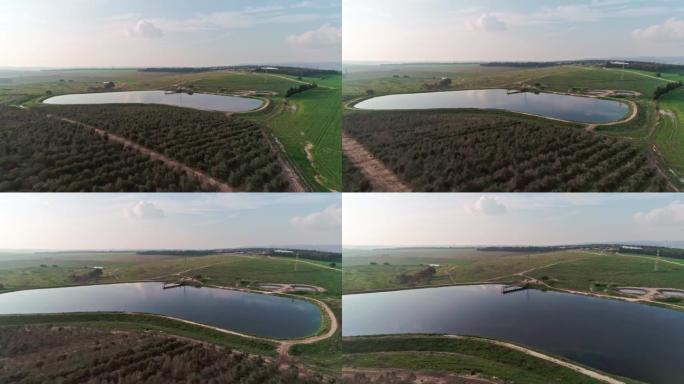 以色列一个大型橄榄种植园的航拍镜头