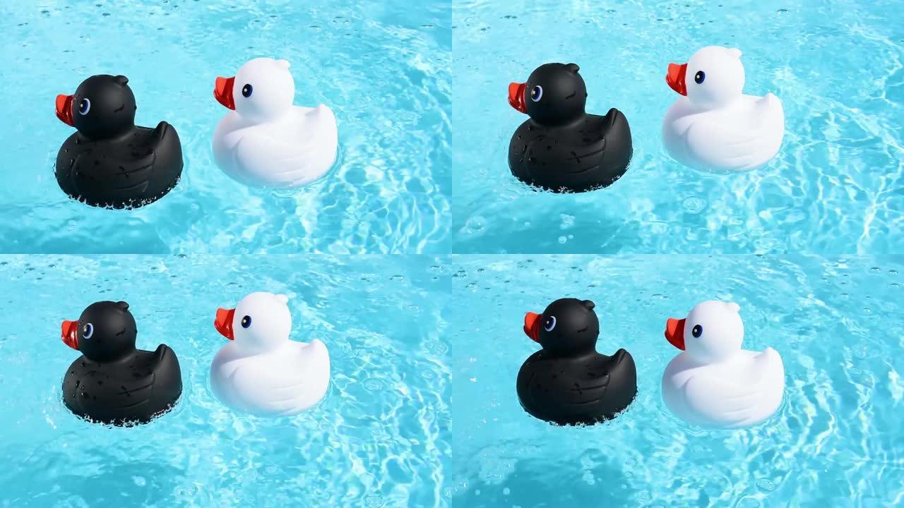 一只黑色和白色的橡皮鸭漂浮在水池清澈的水面上