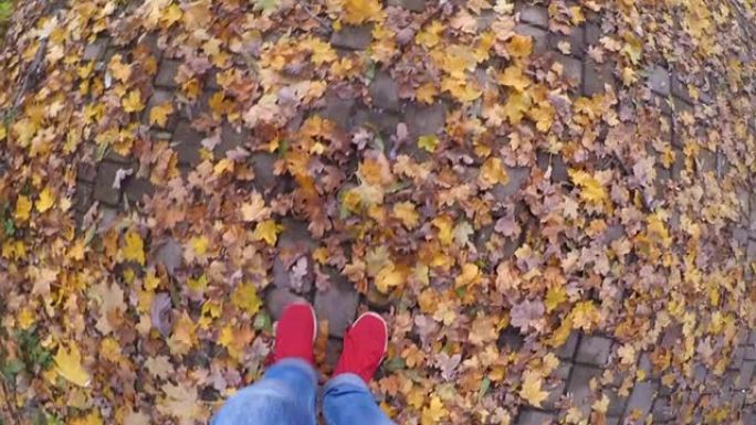 在阳光明媚的秋天，走在地上的女孩掉下了黄色和枯萎的叶子