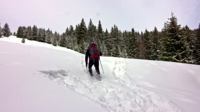 冬季运动活动。带着背包和雪地徒步旅行