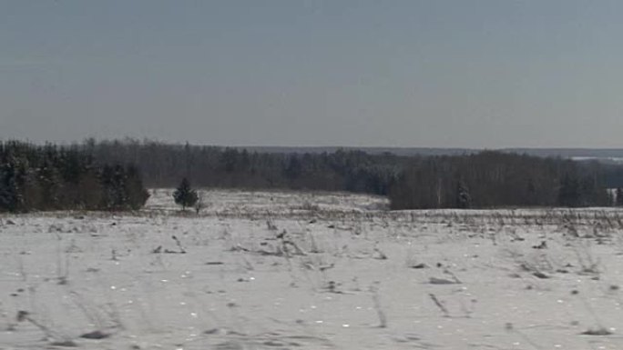 圣诞冬季场景。积雪覆盖的田野