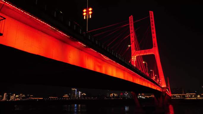 南昌红谷滩东湖区八一大桥夜景航拍