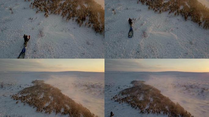 加拿大日落冬季，驯鹿群跟随雪地摩托