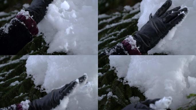 女孩走在白雪皑皑的冬季森林里。女孩从云杉的树枝上甩掉积雪。手特写。慢动作。