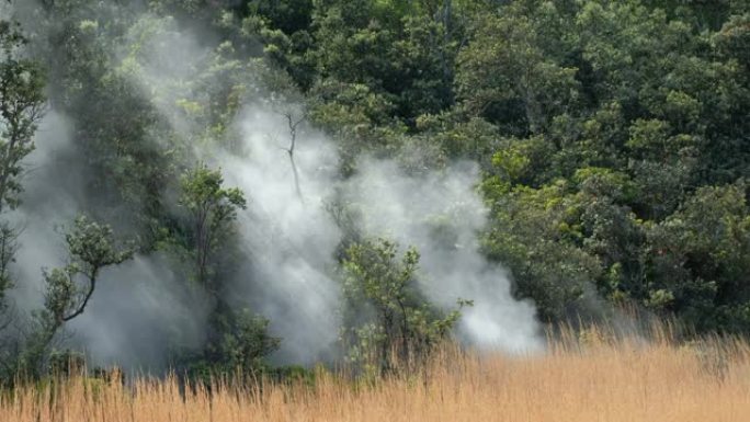 基拉韦厄火山的蒸汽喷口