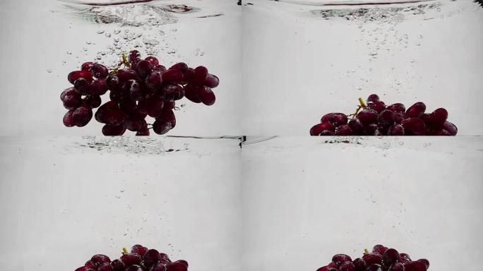慢动作视频红葡萄。一束成熟的葡萄被浸泡在带有气泡的水中。