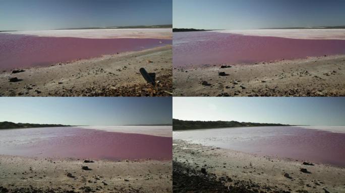 粉红盐湖