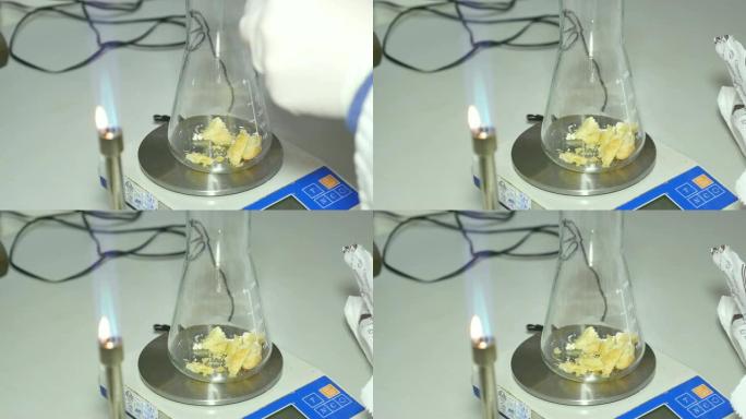 一个科学家在实验室里取了一些食物样本，并把它们放进一个锥型烧瓶里做进一步的测试