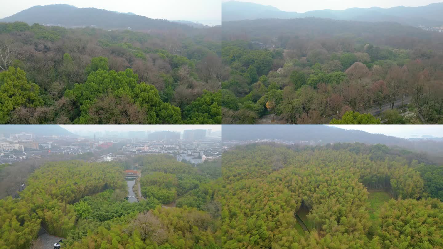 杭州植物园风景视频素材航拍