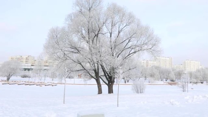 冰雪覆盖的城市公园