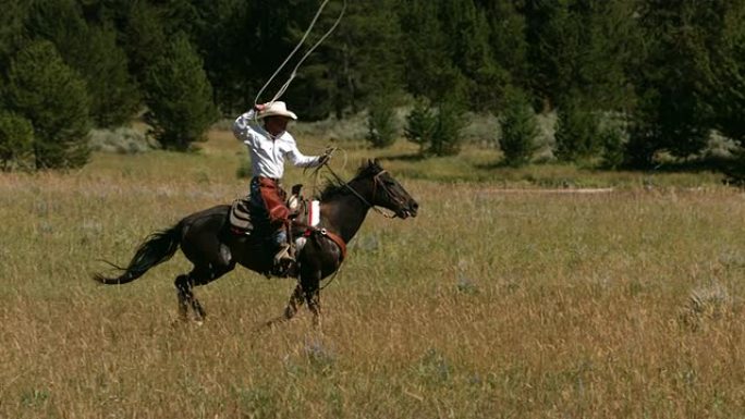 牛仔在疾驰的马背上挥套索，慢动作