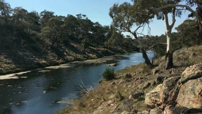 澳大利亚维多利亚州的邦巴拉鸭嘴兽河