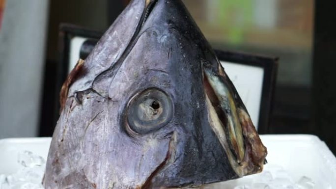 日本鱼市场上的鱼拍卖中的蓝鳍金枪鱼头