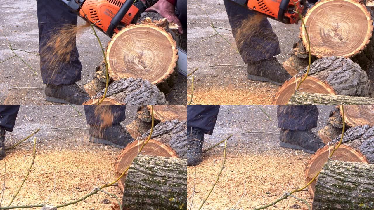 一名工人正在用电锯锯一棵巨大的树枝