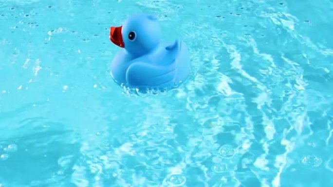 在夏日的灯光下，一只蓝色的橡皮鸭很容易漂浮在水池清澈的水面上